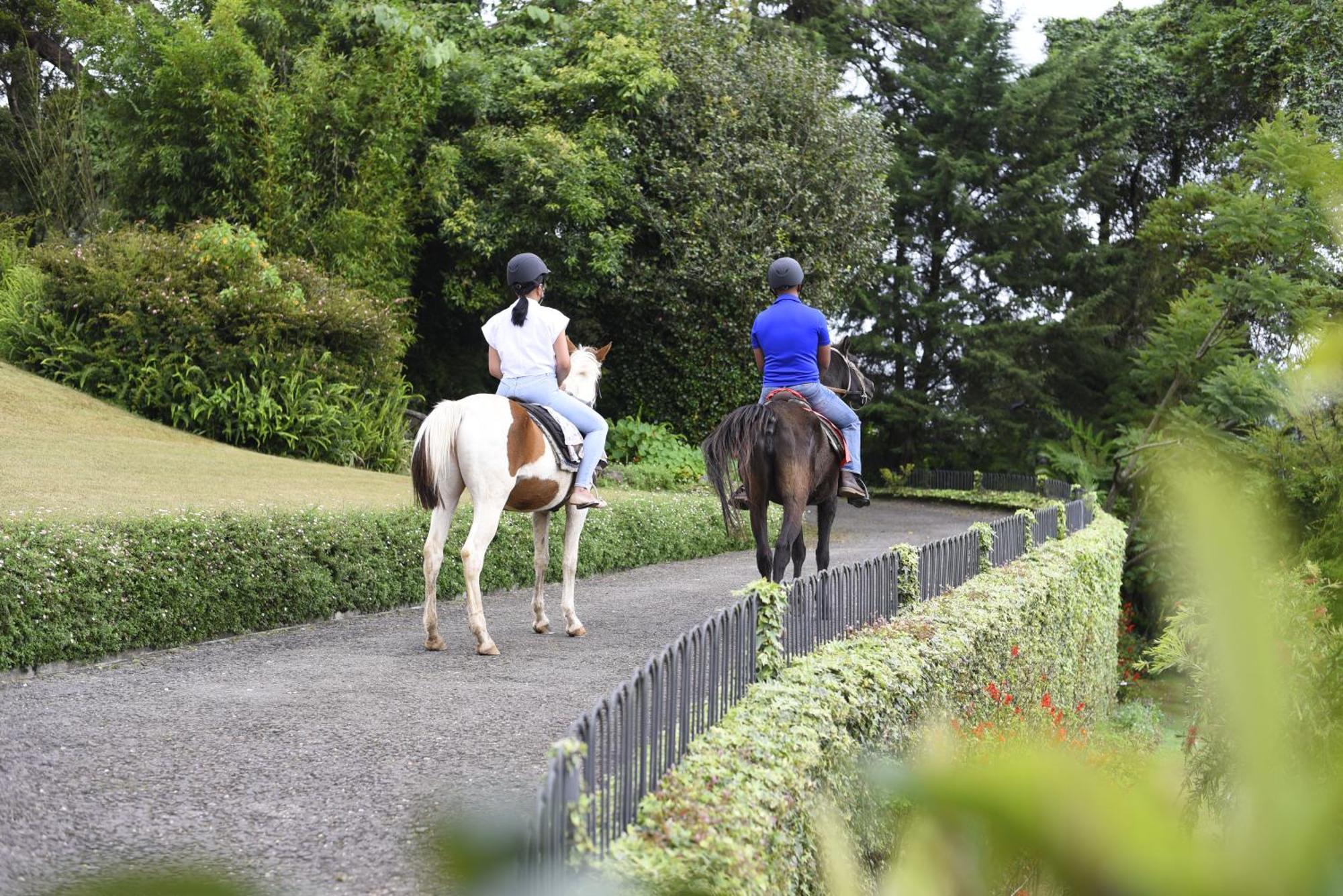 The Bellwood Manor Hotel นูวาราเอลิยา ภายนอก รูปภาพ